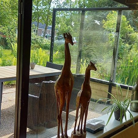 Natuurhuisje Eartswoud Aartswoud Buitenkant foto