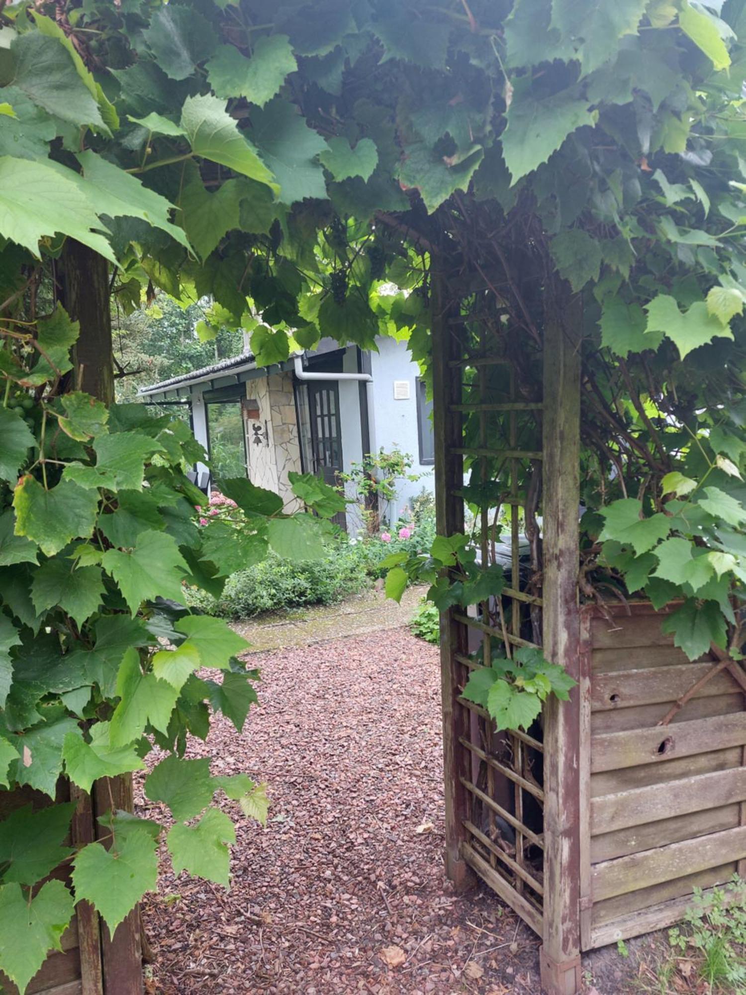 Natuurhuisje Eartswoud Aartswoud Buitenkant foto